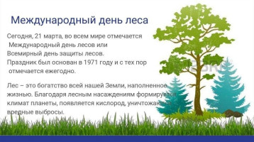 Международный день леса Международный день леса.